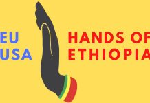 Self-Determination in Ethiopia and the Horn of Africa – July 12, 2021