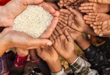 Global Food & Fertilizer Crisis; Elections in Brazil; Water in Jackson; Labor & the War in Ukraine