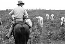 Incarcerated People in Texas Suffer from Heat-related Illnesses; Justice for Shireen; Unions call out UC and Netflix; Florida to Teach that African Americans Benefited from Enslavement