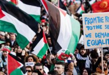 The Two-State Solution is Dead; Class Struggle under Milei in Argentina; Fearless Fund Foundation’s Legal Battle to Secure Grants for Black Women Business Owners