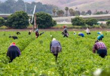 Former Congresswoman Barbara Lee on Cuba, Sanctuary Policies, & Police Accountability; Central Valley Farmworkers Face Anti-Immigrant Threats; San Francisco Teachers Stand up for Immigrant Students; Congo Activists Protest NBA over Alliance with Rwanda